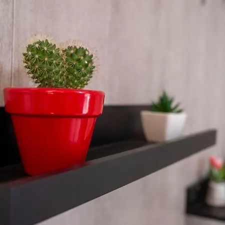 Casa 8 Caños Apartamento Ronda